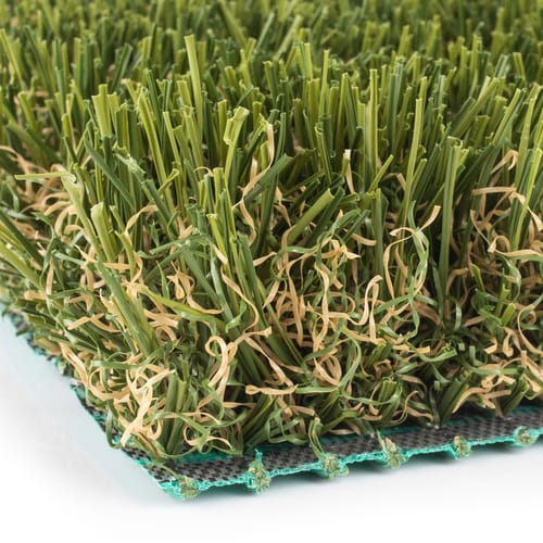 SYNFescue Collection